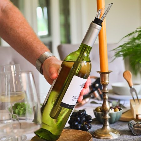 Winelover Wine Chillers & Pourer Set
